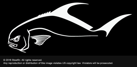 Permit Fish Sticker Permit Decal – Small | Steelfinangling