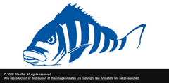Steelfin Sheepshead Decal - Blue