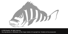 Sheepshead Decal – Small