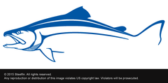 Steelfin Striper Decal - Blue