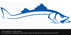 Steelfin Snook Decal - Blue